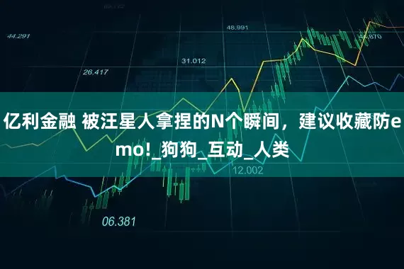 亿利金融 被汪星人拿捏的N个瞬间，建议收藏防emo!_狗狗_互动_人类
