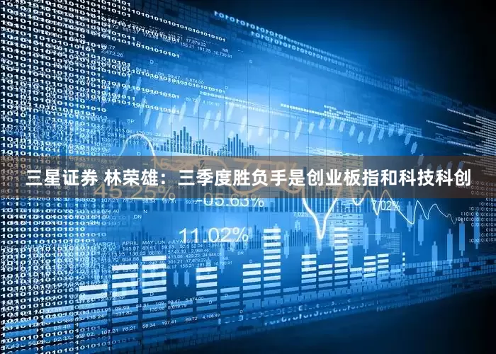 三星证券 林荣雄：三季度胜负手是创业板指和科技科创