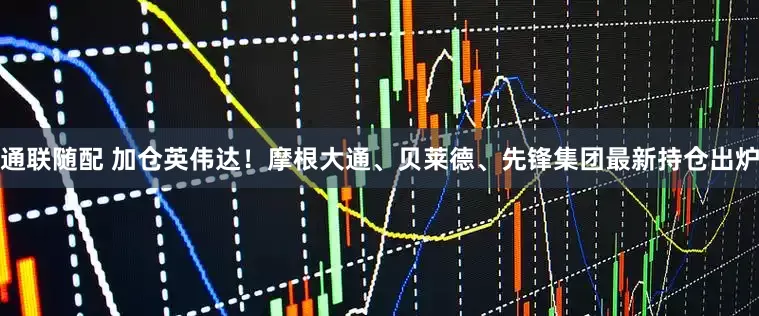 通联随配 加仓英伟达！摩根大通、贝莱德、先锋集团最新持仓出炉
